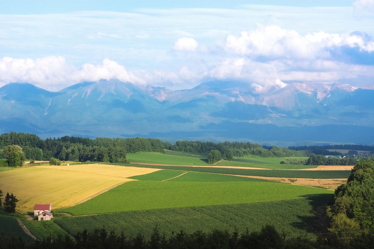 自宅配送が難しい地域とは？